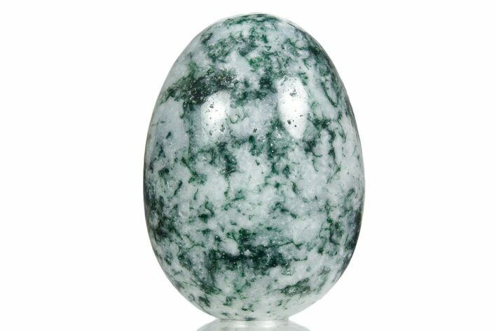 Polished Tree Agate Egg - India #356342